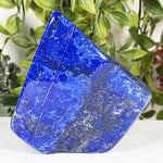 Lapis Lazuli Gemstone Freeform - RPS668