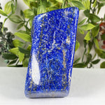 Lapis Lazuli Gemstone Freeform - RPS668