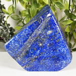 Lapis Lazuli Gemstone Freeform - RPS668