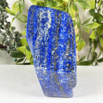 Lapis Lazuli Gemstone Freeform - RPS668
