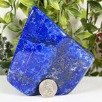 Lapis Lazuli Gemstone Freeform - RPS668