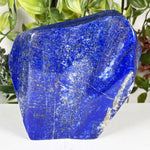 Lapis Lazuli Gemstone Freeform - RPS670