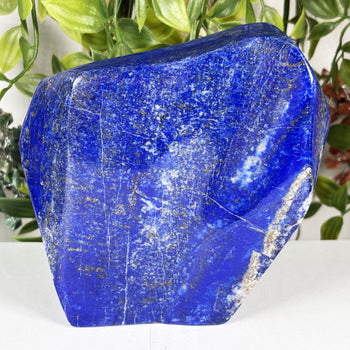 Lapis Lazuli Gemstone Freeform - Gem Avenue Wholesale