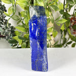 Lapis Lazuli Gemstone Freeform - RPS670