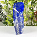 Lapis Lazuli Gemstone Freeform - RPS670