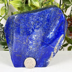 Lapis Lazuli Gemstone Freeform - RPS670