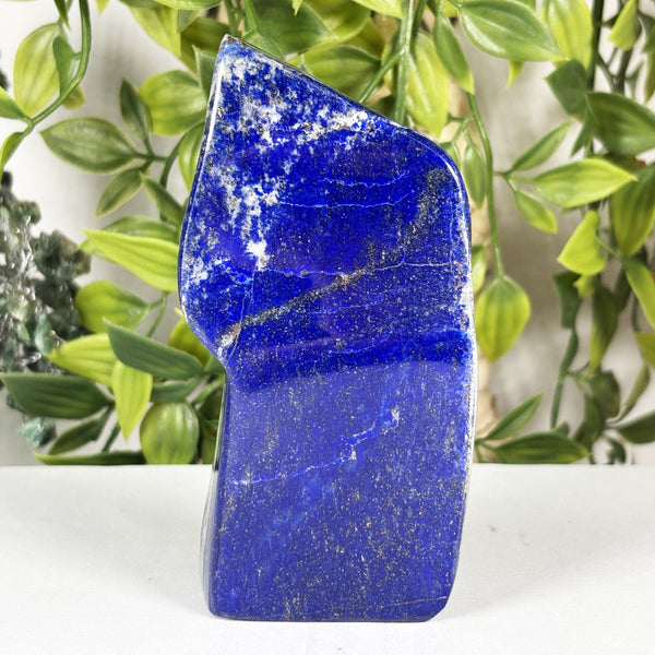 Lapis Lazuli Gemstone Freeform - Gem Avenue Wholesale