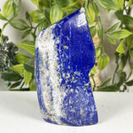 Lapis Lazuli Gemstone Freeform - RPS671
