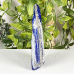 Lapis Lazuli Gemstone Freeform - RPS671