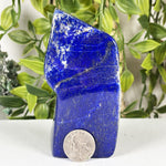 Lapis Lazuli Gemstone Freeform - RPS671