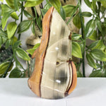 Polychrome Jasper Gemstone Freeform - RPS672