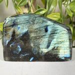 Labradorite Gemstone Freeform - RPS681