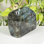 Labradorite Gemstone Freeform - RPS681