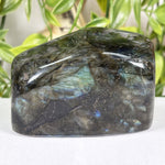 Labradorite Gemstone Freeform - RPS681