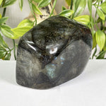 Labradorite Gemstone Freeform - RPS681