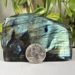 Labradorite Gemstone Freeform - RPS681