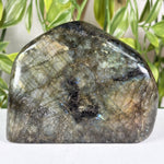 Labradorite Gemstone Freeform - RPS682