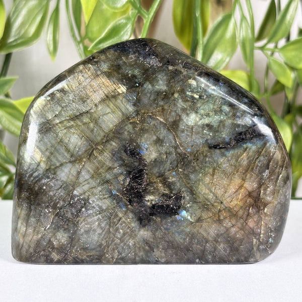 Labradorite Gemstone Freeform - Gem Avenue Wholesale