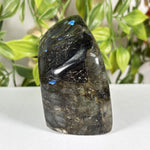 Labradorite Gemstone Freeform - RPS682