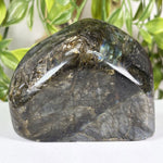 Labradorite Gemstone Freeform - RPS682
