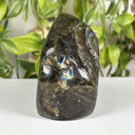Labradorite Gemstone Freeform - RPS682