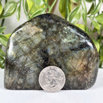 Labradorite Gemstone Freeform - RPS682
