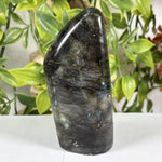 Labradorite Gemstone Freeform - RPS683