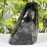 Labradorite Gemstone Freeform - RPS683