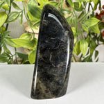 Labradorite Gemstone Freeform - RPS683