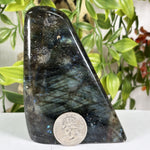 Labradorite Gemstone Freeform - RPS683