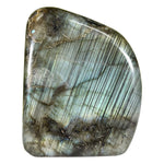 Labradorite Gemstone Freeform - RPS684