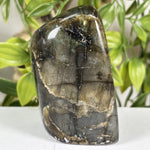 Labradorite Gemstone Freeform - RPS684