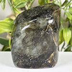 Labradorite Gemstone Freeform - RPS684