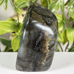 Labradorite Gemstone Freeform - RPS684