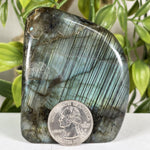 Labradorite Gemstone Freeform - RPS684