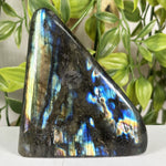 Labradorite Gemstone Freeform - RPS685
