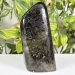 Labradorite Gemstone Freeform - RPS685