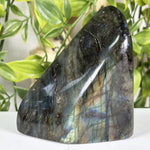 Labradorite Gemstone Freeform - RPS685