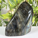 Labradorite Gemstone Freeform - RPS685