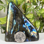 Labradorite Gemstone Freeform - RPS685