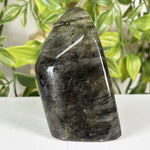 Labradorite Gemstone Freeform - RPS686