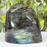 Labradorite Gemstone Freeform - RPS686