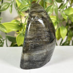 Labradorite Gemstone Freeform - RPS686