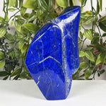 Lapis Lazuli Gemstone Freeform - RPS687