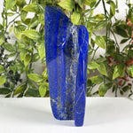 Lapis Lazuli Gemstone Freeform - RPS687