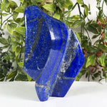 Lapis Lazuli Gemstone Freeform - RPS687