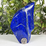 Lapis Lazuli Gemstone Freeform - RPS687