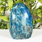 Apatite Gemstone Freeform - RPS688