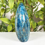 Apatite Gemstone Freeform - RPS688
