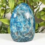 Apatite Gemstone Freeform - RPS688